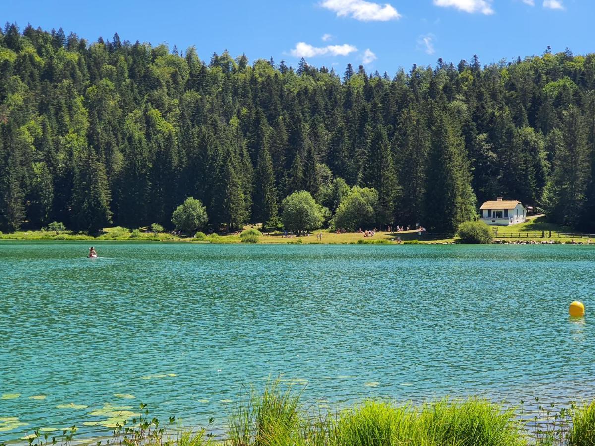 Home Nantua Studio Meubles Ain-Jura Екстериор снимка